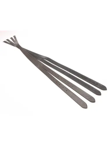 Kāpšļu siksnas Ecoline Kavalkade