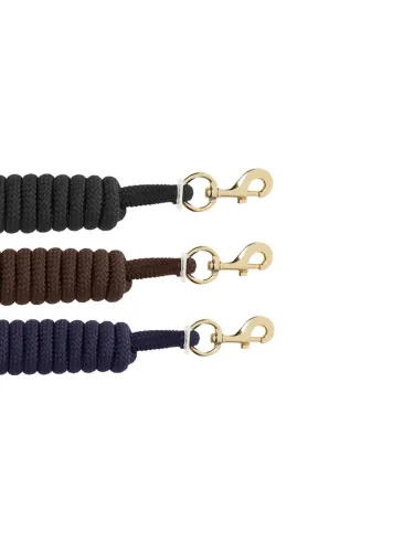 Pastaigu pavada Brass Kavalkade