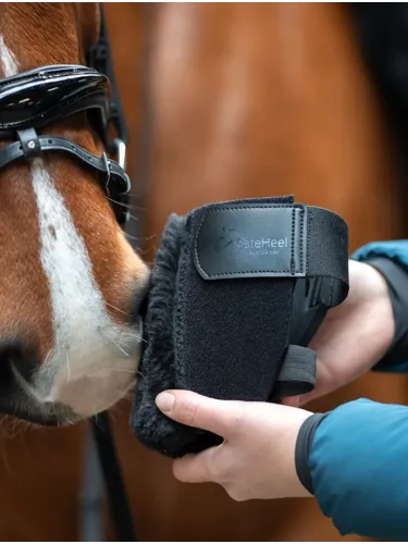 Papēžu spilventiņš SafeHeel Kavalkade