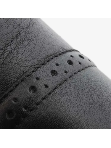 Puszābaki Lucius Kavalkade