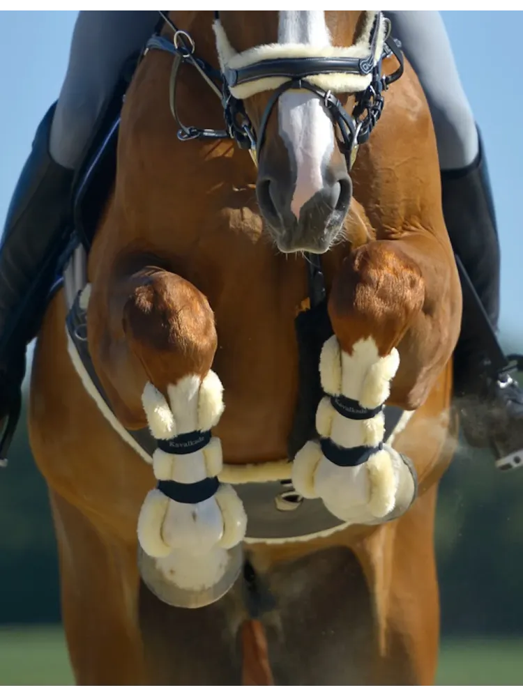 Kāju aizsargi zirgiem Compete Faux Fur Kavalkade