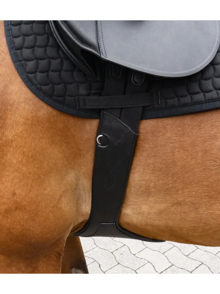 Seglu josta ar klapi Standard Elastic Kavalkade