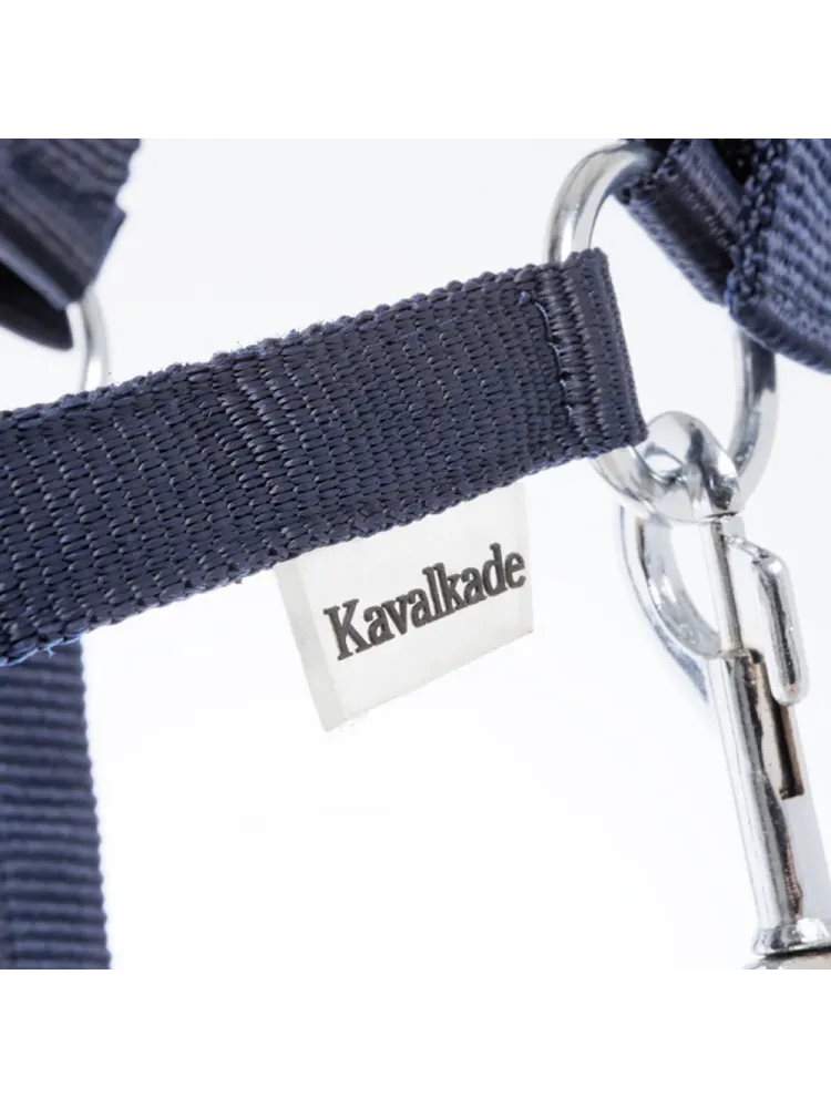 Apauši Shetty Shorty Kavalkade