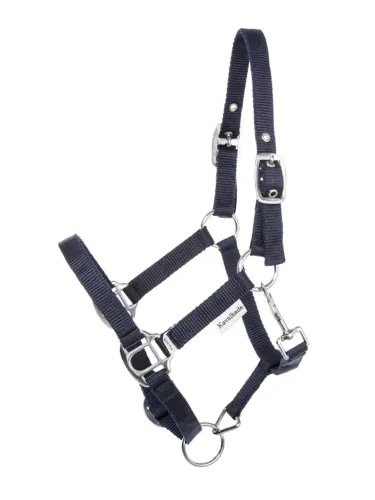 Apauši Shetty Shorty Kavalkade