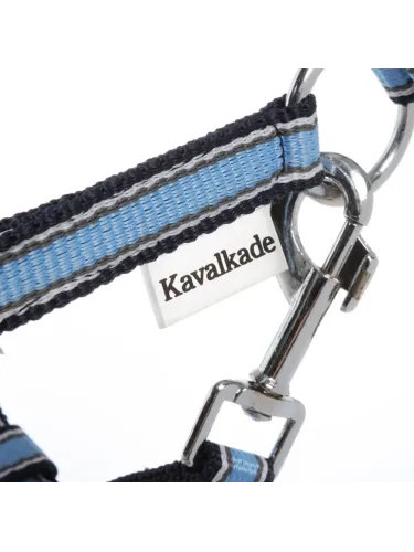 Apauši Shetty Shorty Kavalkade