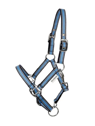 Apauši Shetty Shorty Kavalkade