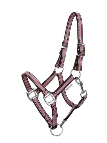 Apauši Shetty Shorty Kavalkade