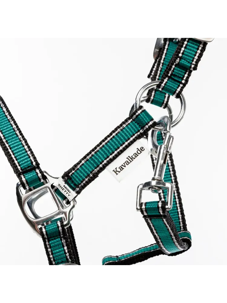 Apauši Shetty Shorty Kavalkade