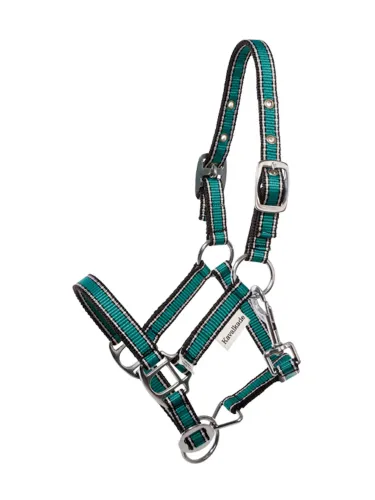 Apauši Shetty Shorty Kavalkade