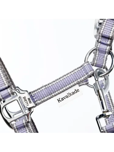 Apauši Shetty Shorty Kavalkade