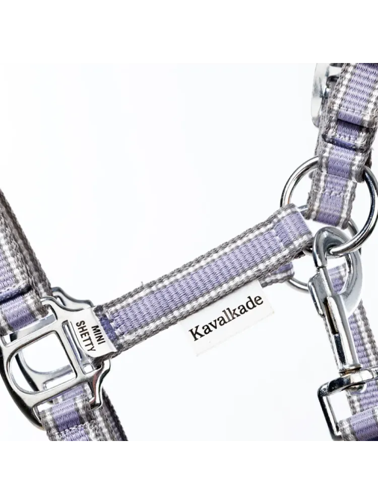 Apauši Shetty Shorty Kavalkade