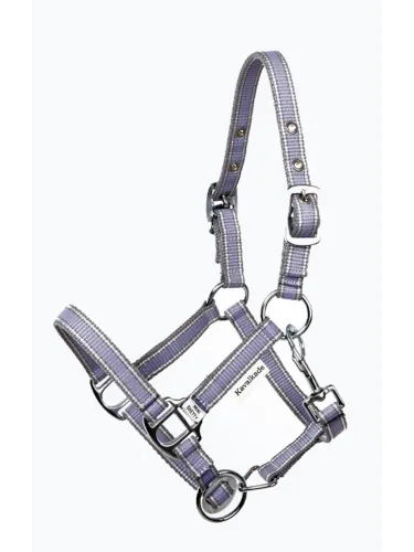 Apauši Shetty Shorty Kavalkade