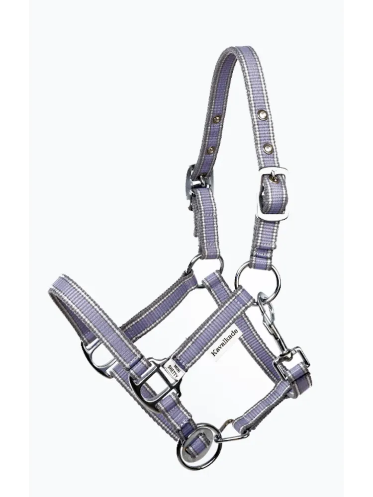 Apauši Shetty Shorty Kavalkade