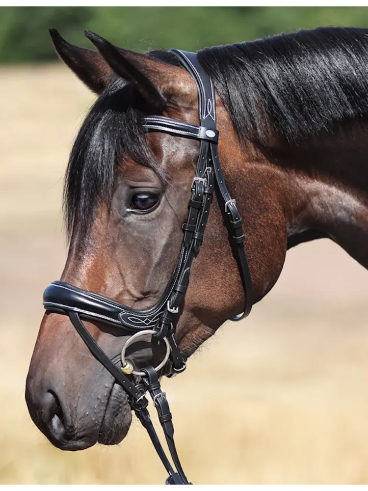 Iemaukti Ivy Plus Kavalkade