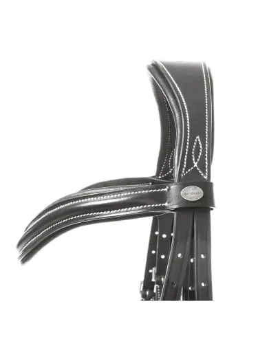 Iemaukti Ivy Plus Kavalkade