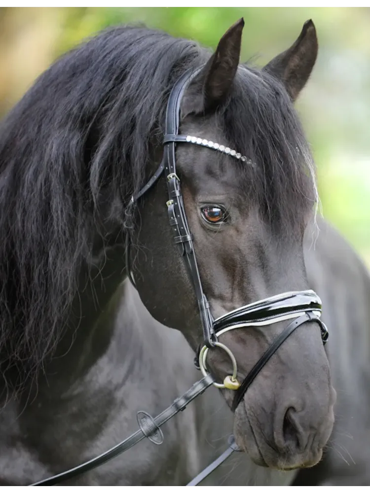 Iemaukti Juliana Patent Kavalkade