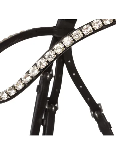 Iemaukti Juliana Patent Kavalkade