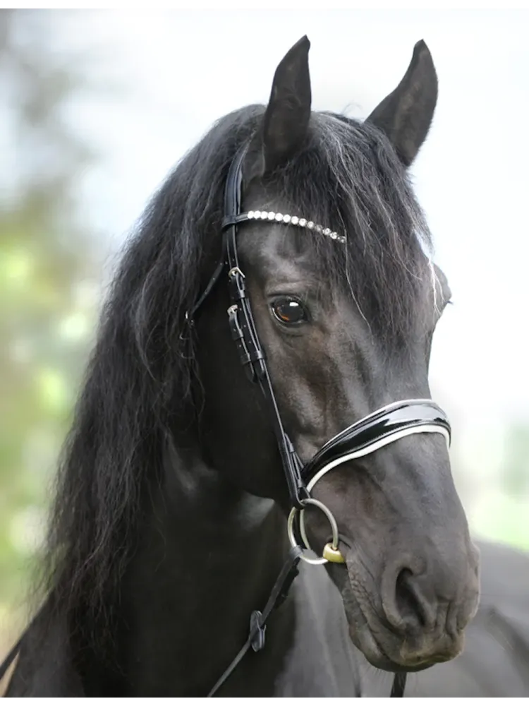 Iemaukti Juliana Patent Kavalkade