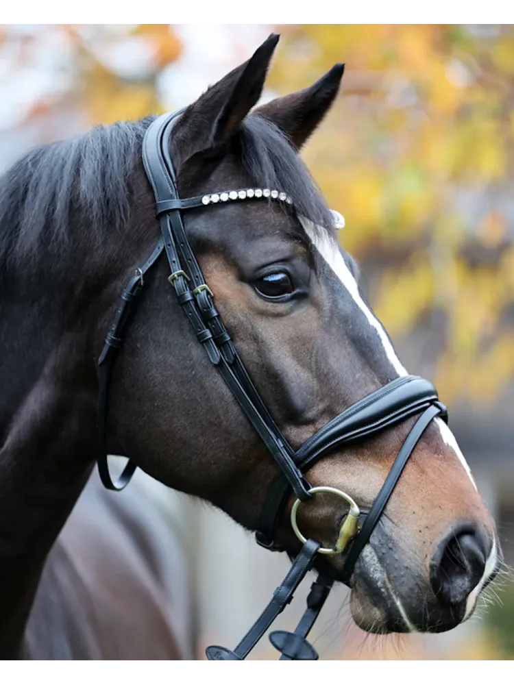 Iemaukti Juliana Patent Kavalkade