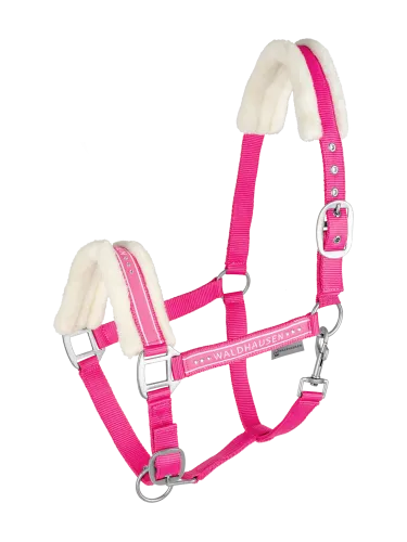 Apauši Elegant Waldhausen