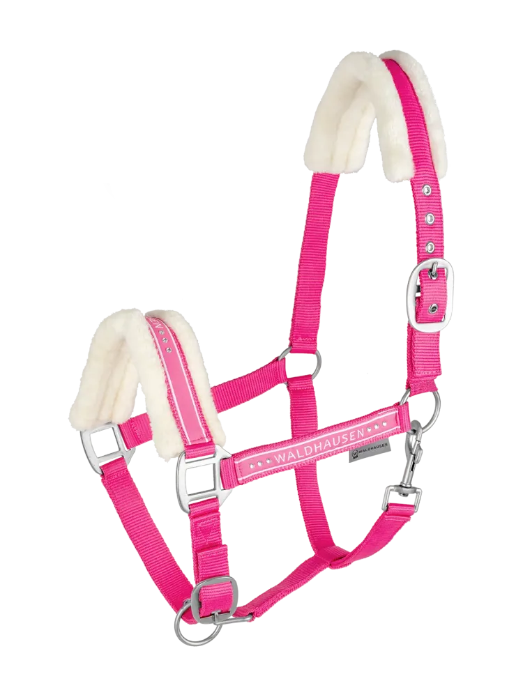 Apauši Elegant Waldhausen