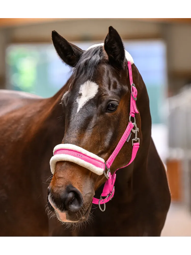 Apauši Elegant Waldhausen