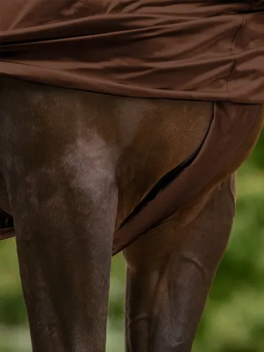 Ekzēmas  zirgu sega Basic Waldhausen