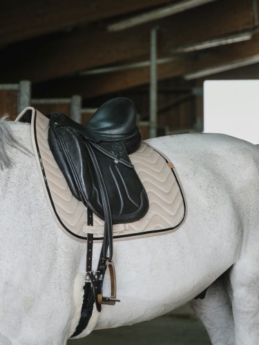 Koolisõiduvaltrap Glossy Equitheme