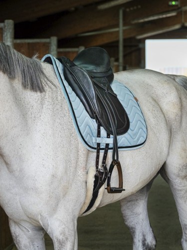 Koolisõiduvaltrap Glossy Equitheme