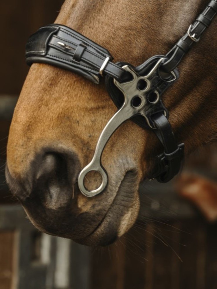 Hackamore valjad Norton Pro