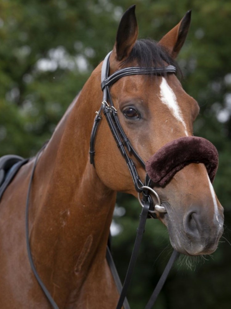 Kapsli pehmendus Teddy Equitheme