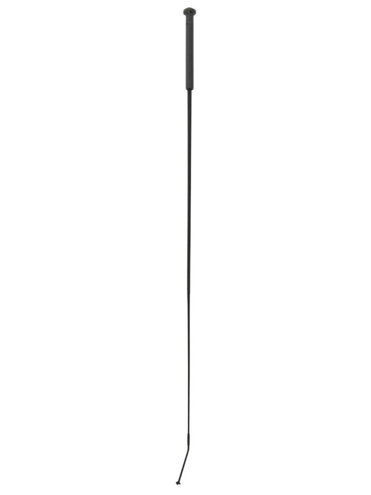 Koolisõidu piits Whip&Go