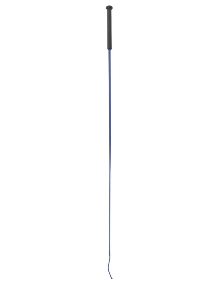 Koolisõidu piits Whip&Go