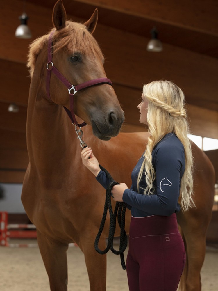 Jāšanas legingi Lyly Equitheme